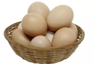 北京食藥監抽檢 華都峪口雞蛋檢出抗菌藥物，食用農產品安全再引關注