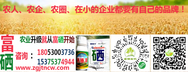 農業農村部實施新規，全國食用農產品全面推行合格證制度