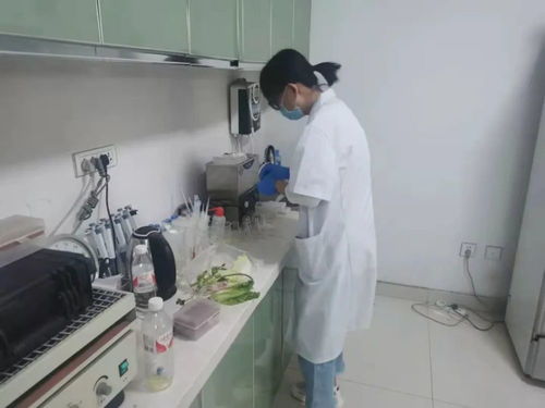 四大農貿市場抽檢結果公布，36批次食用農產品安全有保障